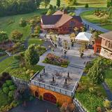 Anyela's Vineyards