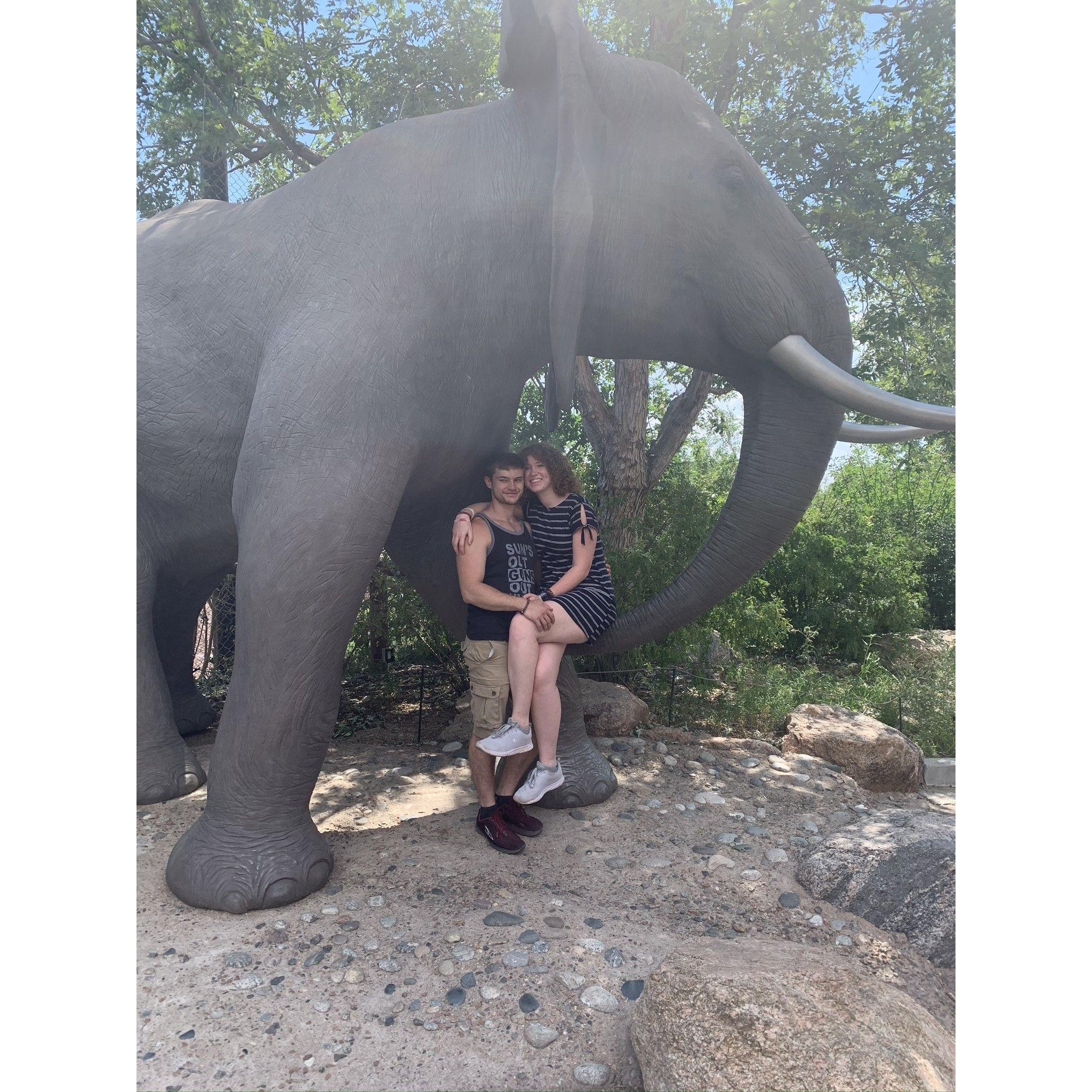 Trip to Cheyenne Mountain Zoo!