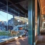 Lincoln Park Zoo