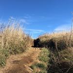 Black Balsam Knob