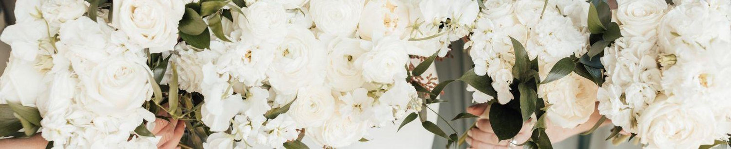 The Wedding Website of Courtney Anderson and Christopher Martinez