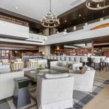 Bars & Lounges