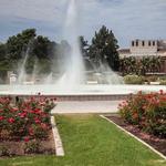 Exposition Park Rose Garden
