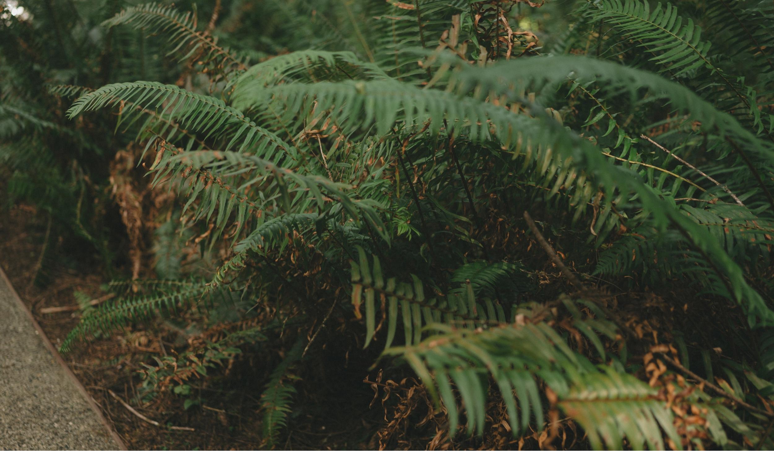 Footer image