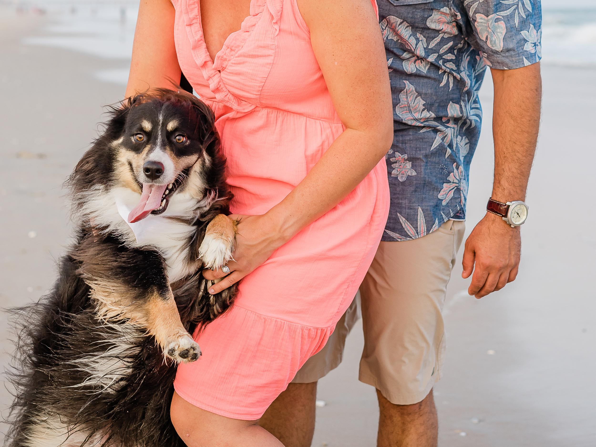 The Wedding Website of Audrey Goyer and Michael Madia