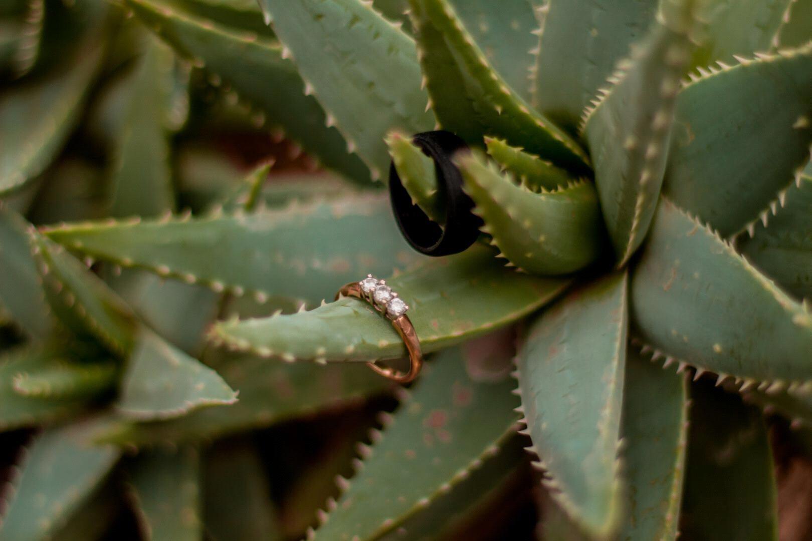 Engagement photos- our rings