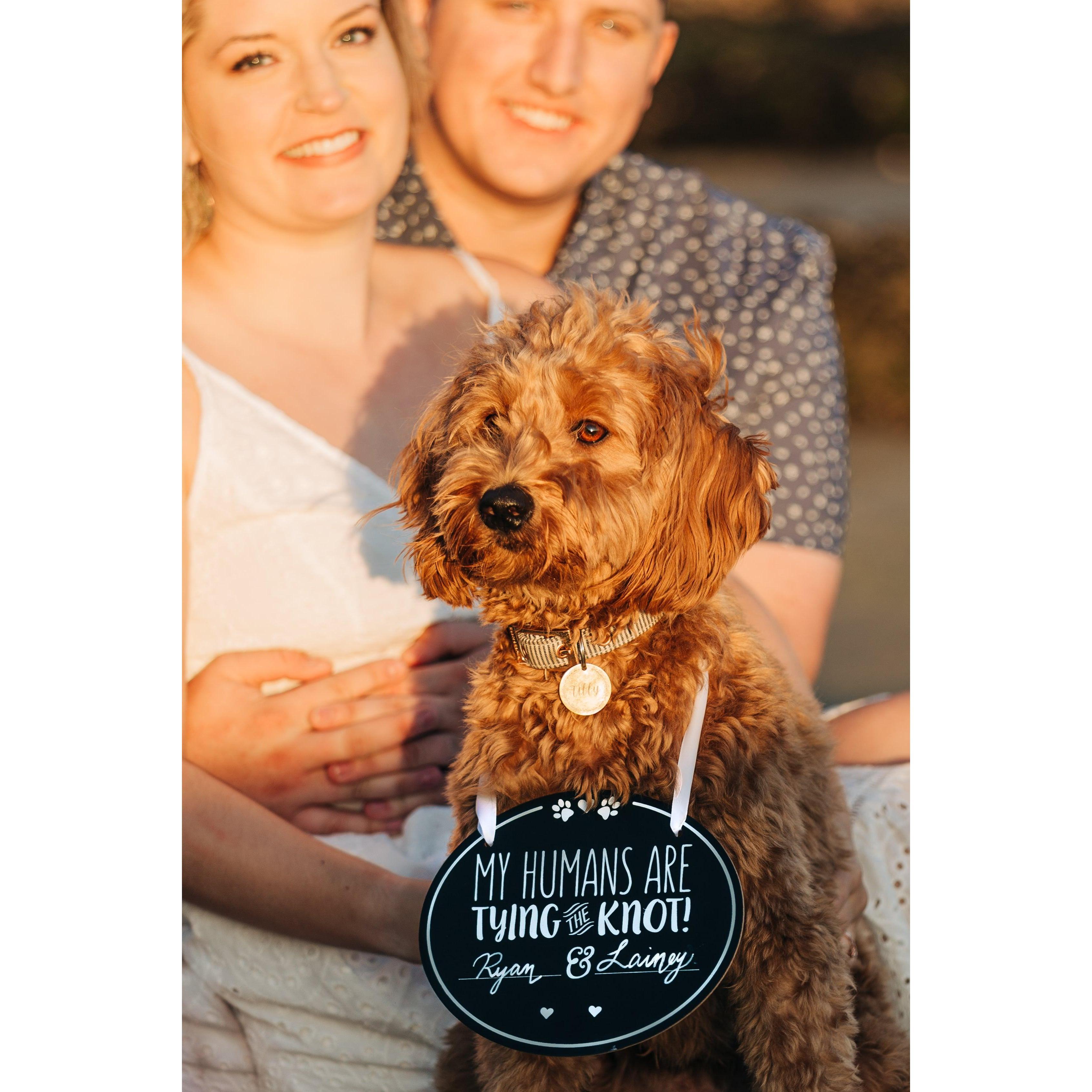 Engagement Photos