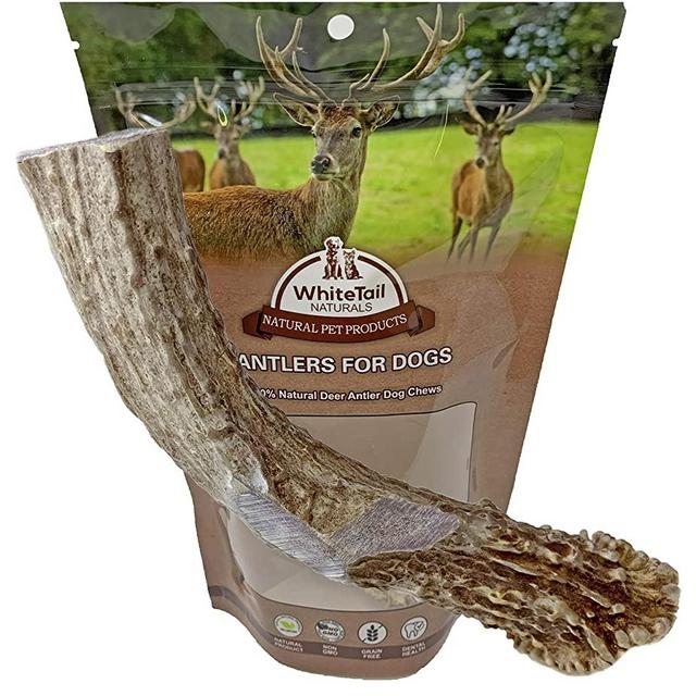 WhiteTail Naturals | Premium Deer Antlers for Dogs | (Extra Large XL) | All Natural Antler Chew | Naturally Shed, Sourced in USA