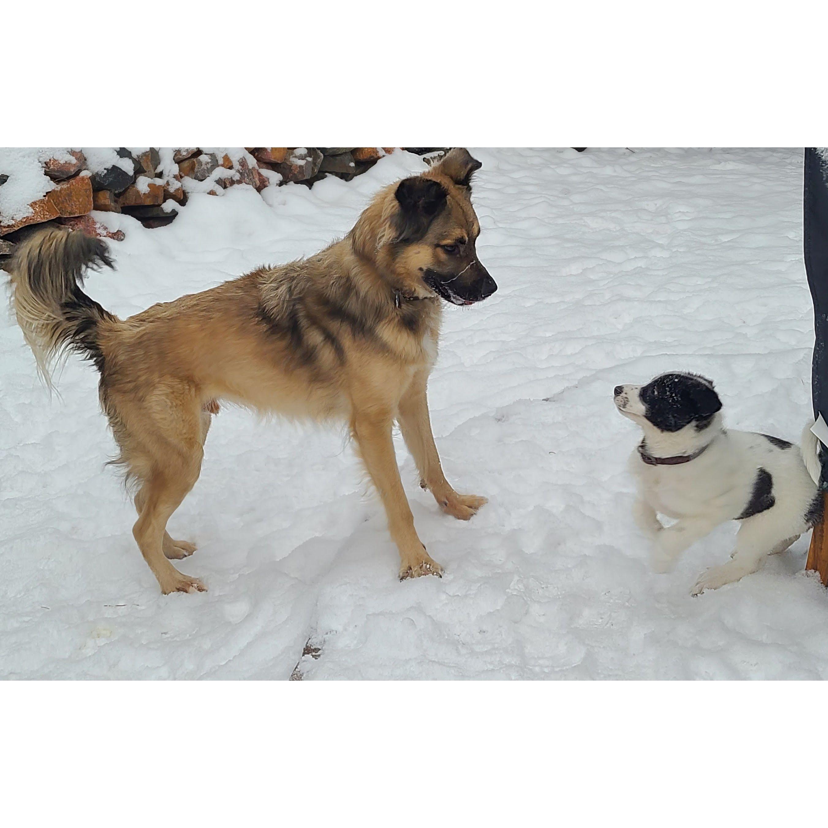 The babies meet!; January 2023