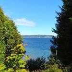 Bainbridge Island
