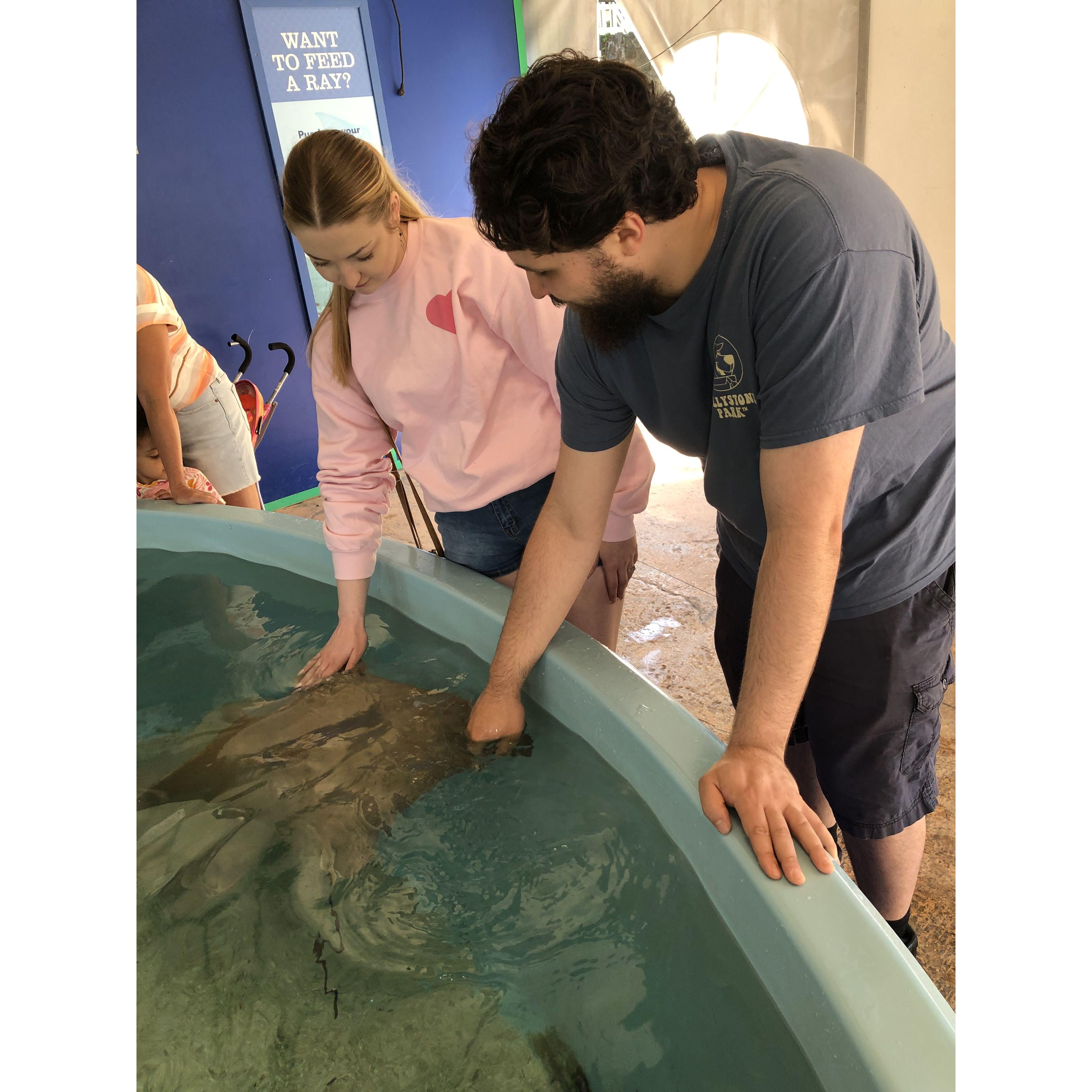 Emily's first time at an aquarium - June 2024