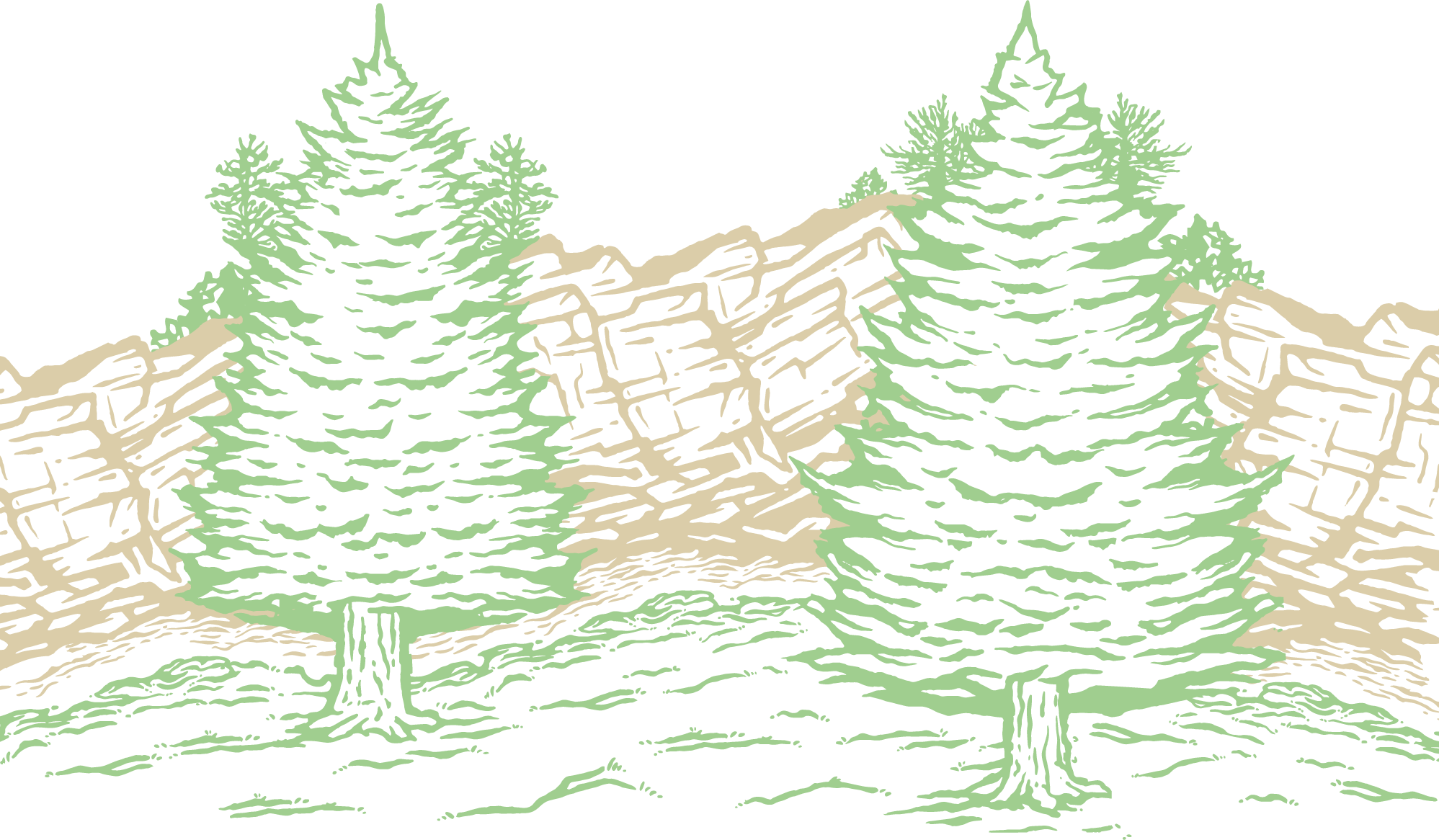 Footer image