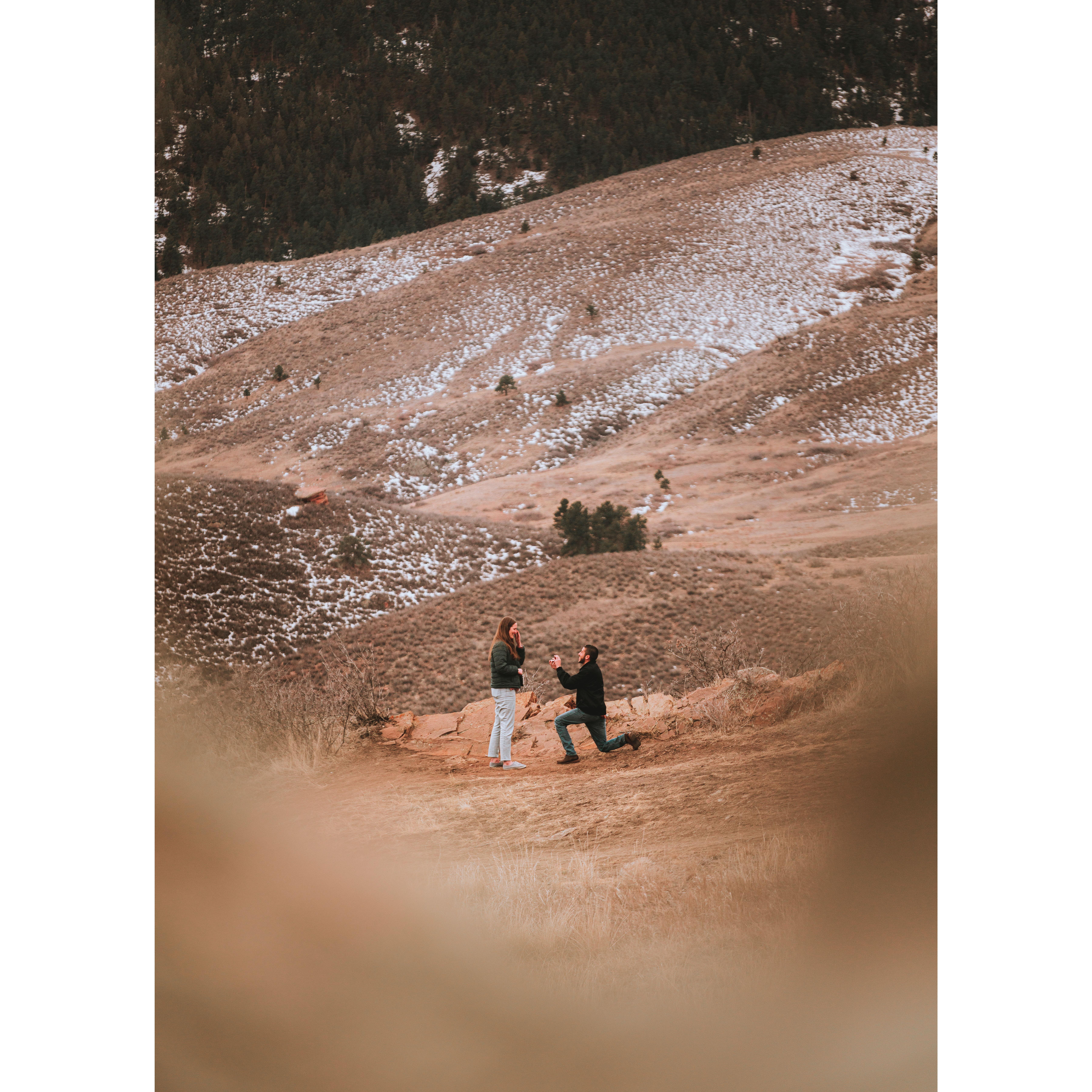 Dante told Sarah he loved her for the first time and then popped the question!