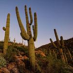 Hiking Trails