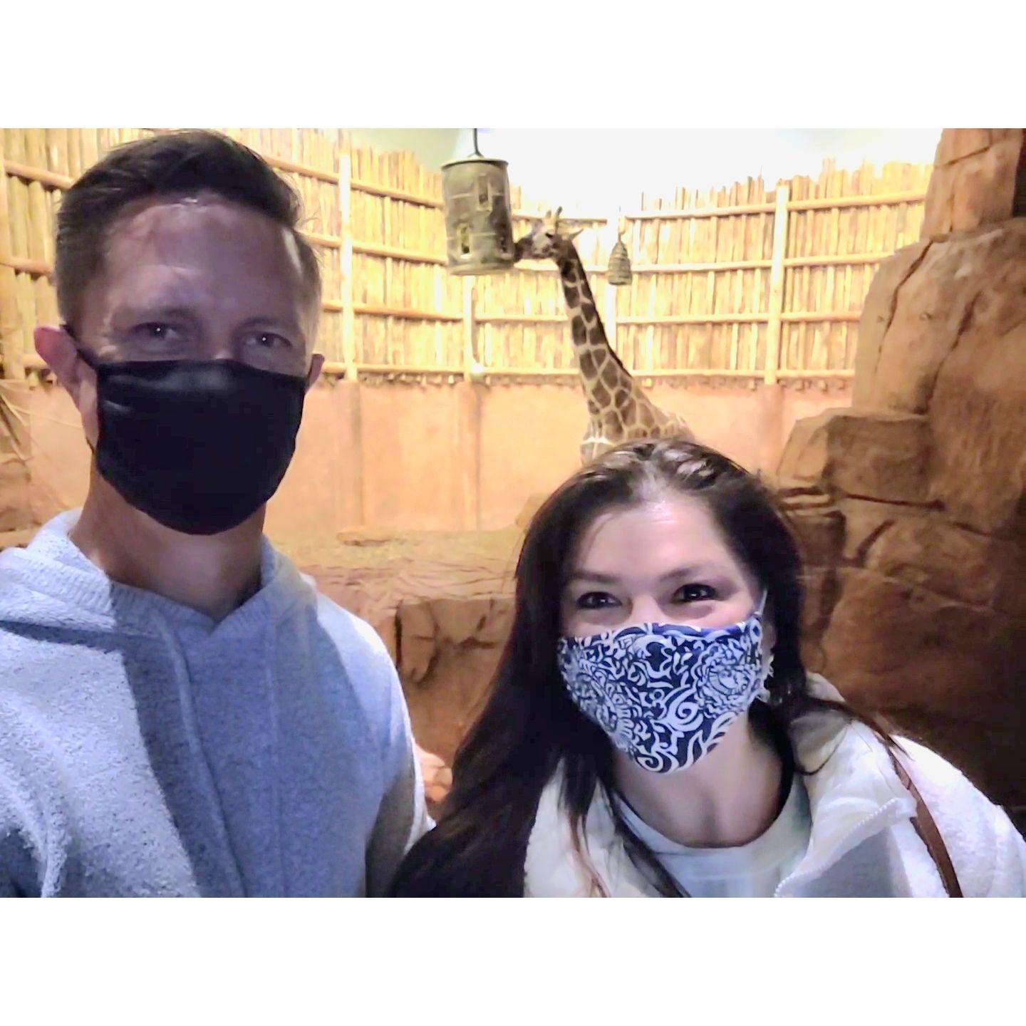 We survived Covid together!!! Lincoln Park Zoo - Zoolights December 2021