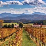 Nelson County