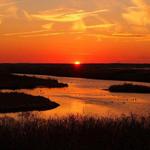 Edwin B. Forsythe National Wildlife Refuge