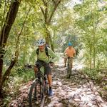 Mountain Bikes