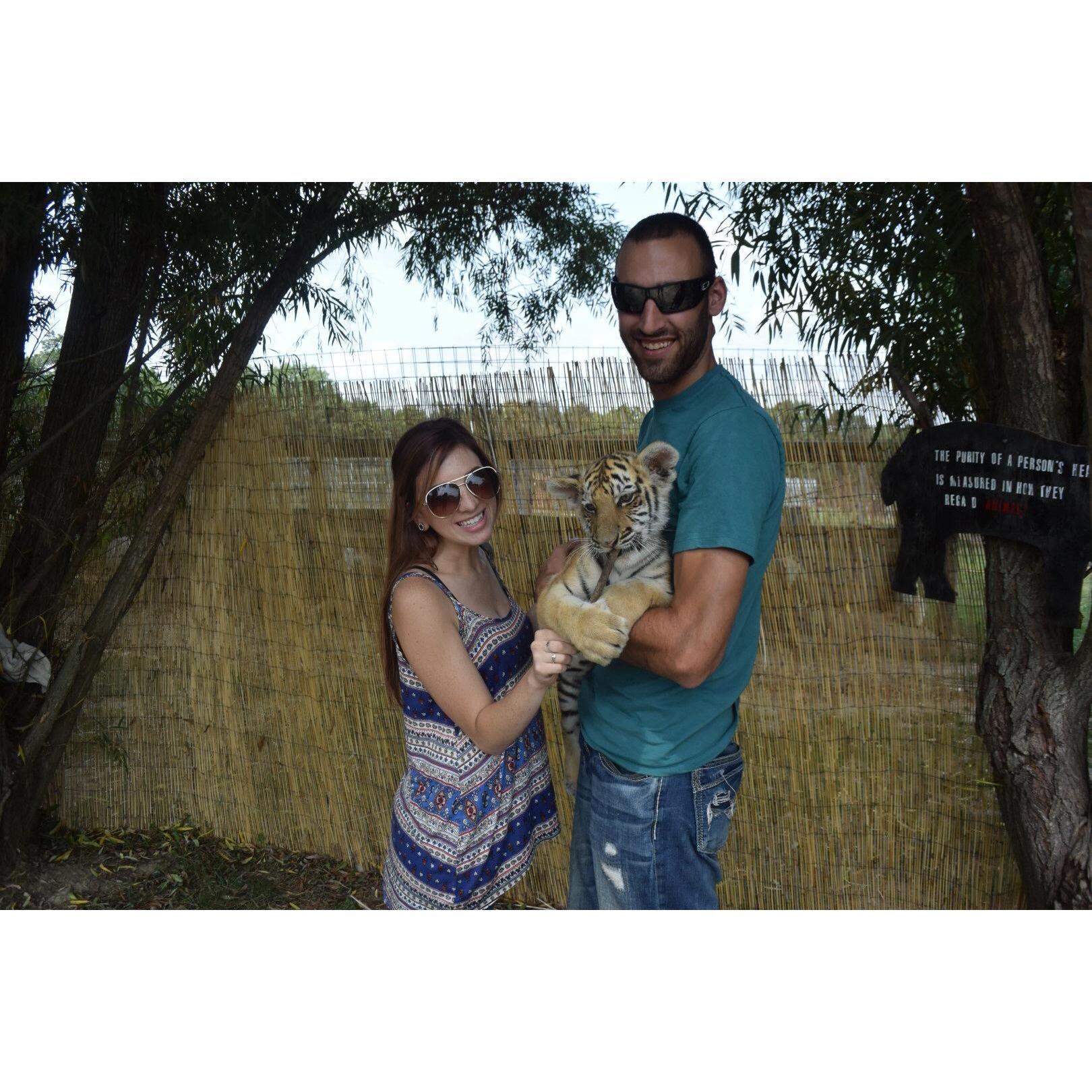 Dylan surprised Britt with a trip to a small Zoo in Illinois to go play with baby tigers!