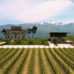 Castorani Vineyard