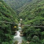 Canopy River