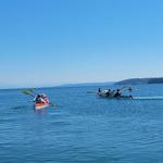 Whidbey Island Kayaking