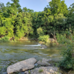 Enjoy the Outdoors at Rivery Park