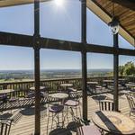 Bluemont Vineyard