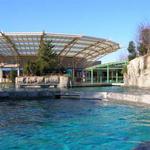 Mystic Aquarium