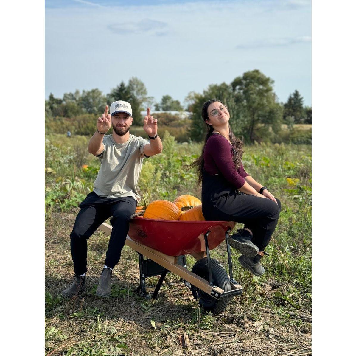 Our first year pumpkin picking