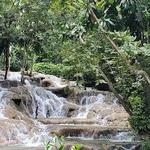 The World Famous Dunn's River Falls & Park