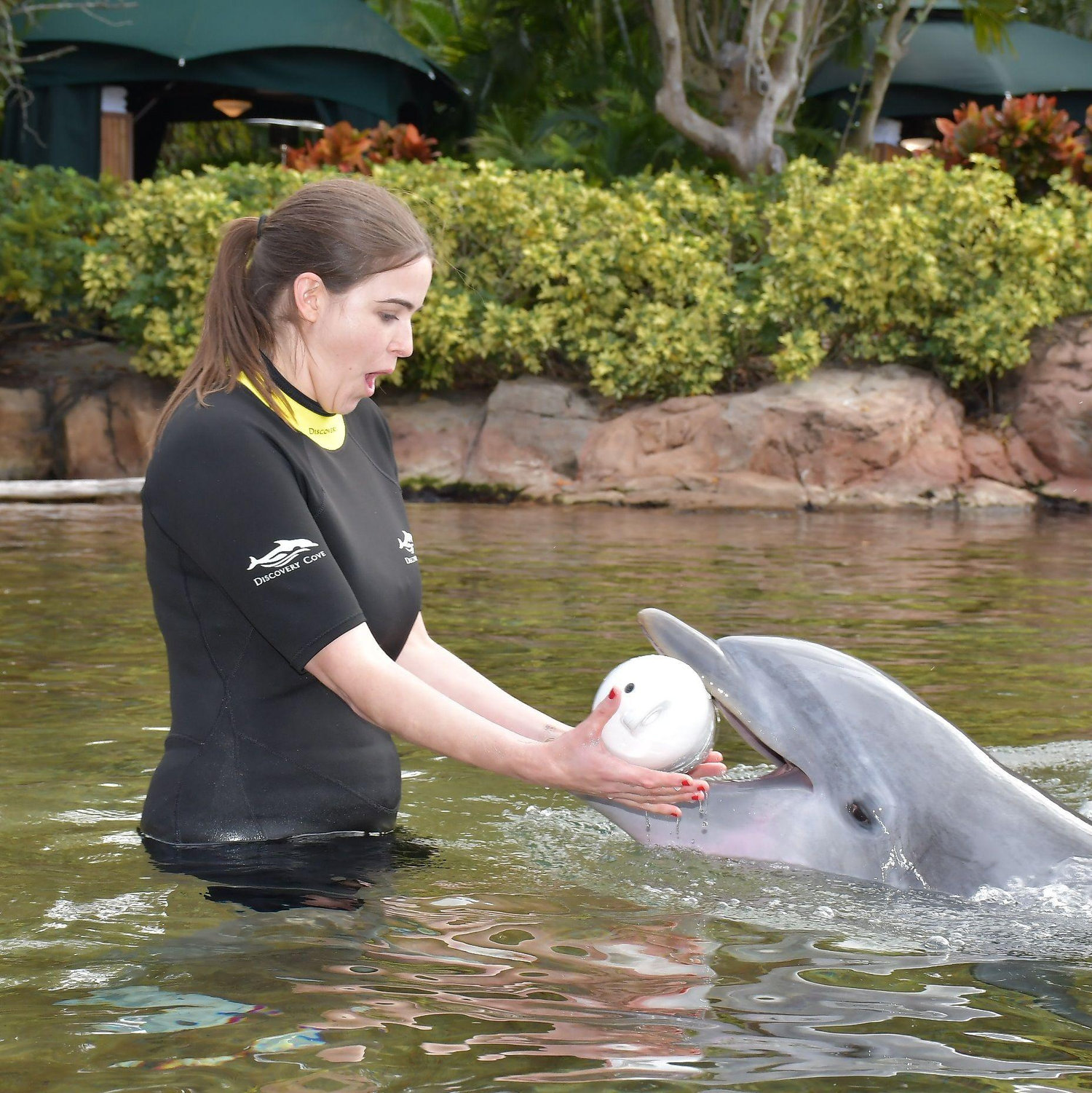 Getting the question delivered from Gaia the dolphin!