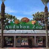 Audubon Zoo