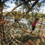 TreeTop Trekking