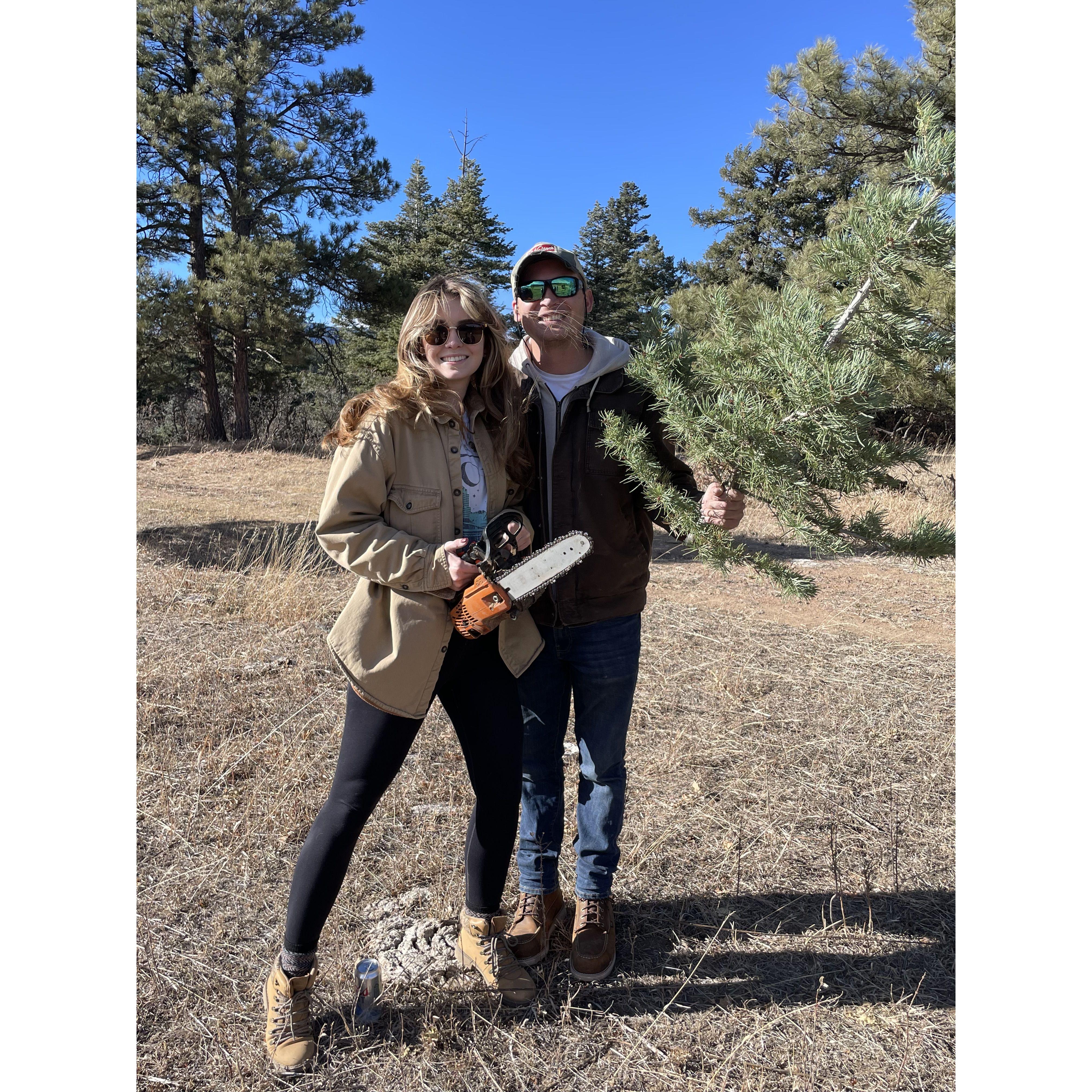 Our first Christmas tree cutting!