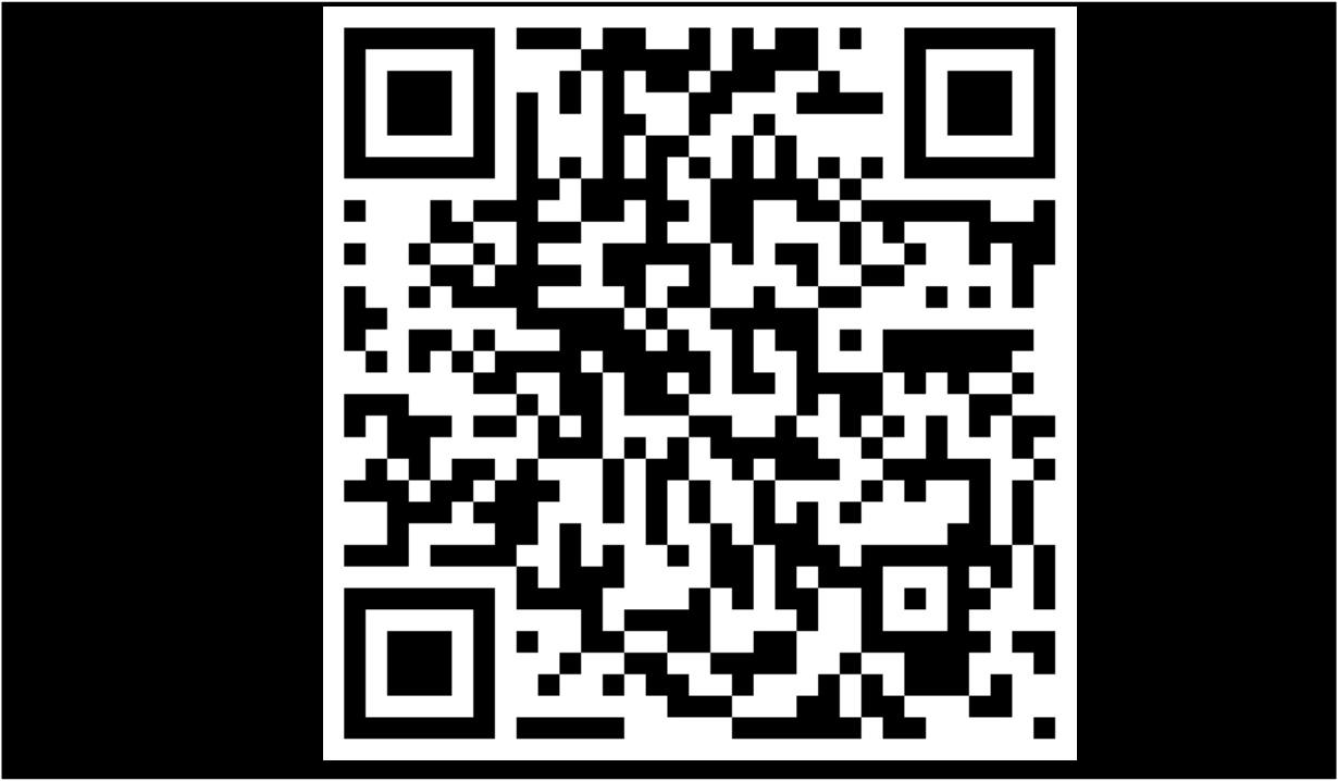 Footer image