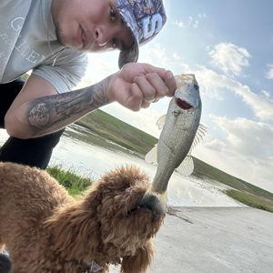 Fishing Trip