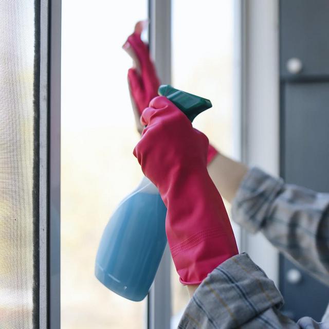 Monthly Home Cleaning Services