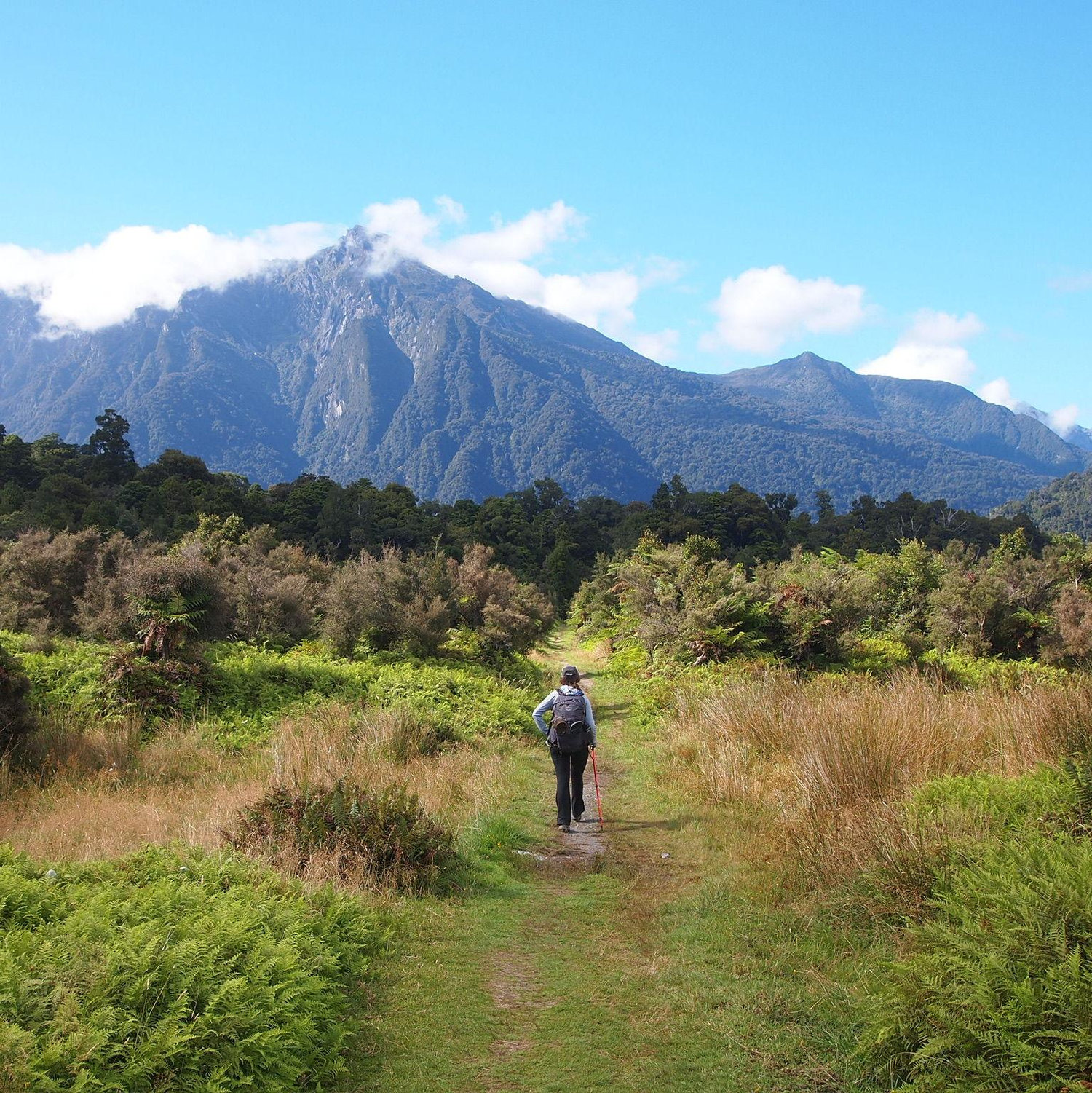 New Zealand