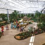 Butterfly Wonderland