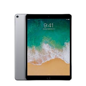 iPad Pro Space Frey