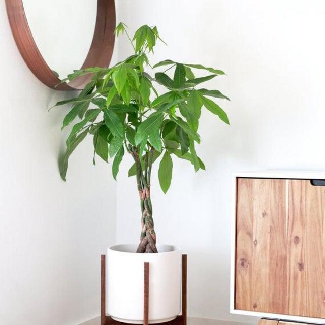 Large, Mid Century Modern Planter and Plant Stand - 12" Ceramic Pot