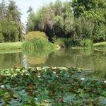Fullerton Arboretum