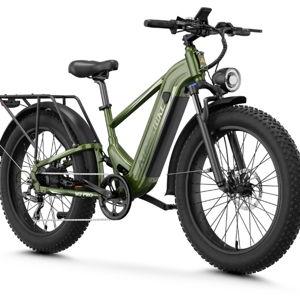 Electric E-Bikes