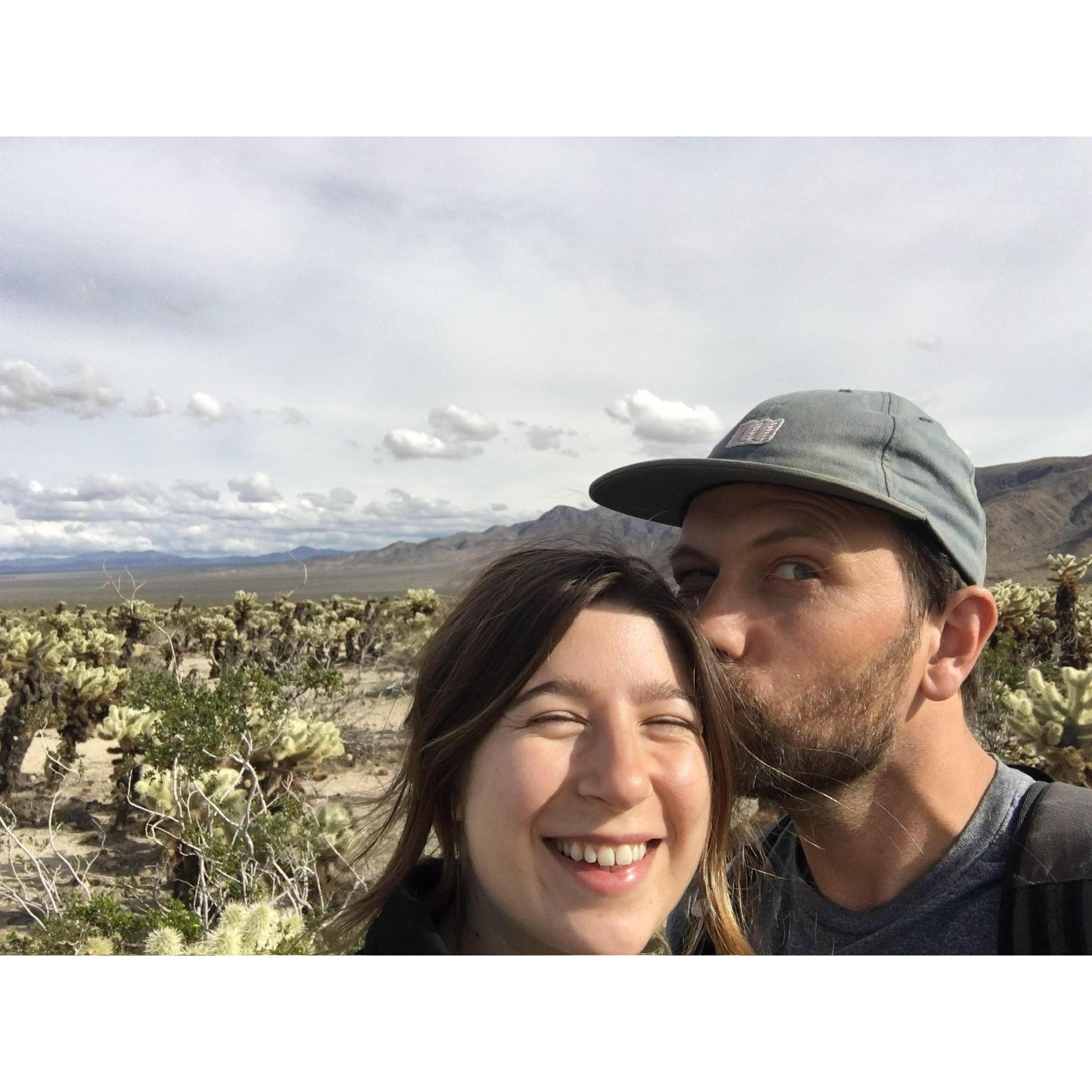 Joshua Tree!