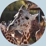 Cheyenne Mountain Zoo