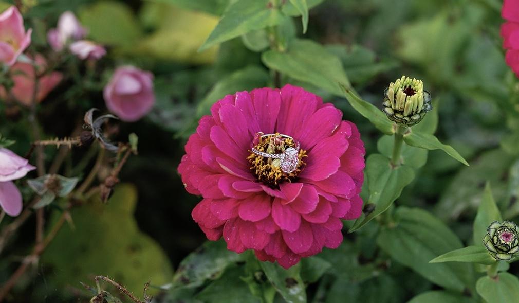 The Wedding Website of Sarah Parker and Jake Toscano