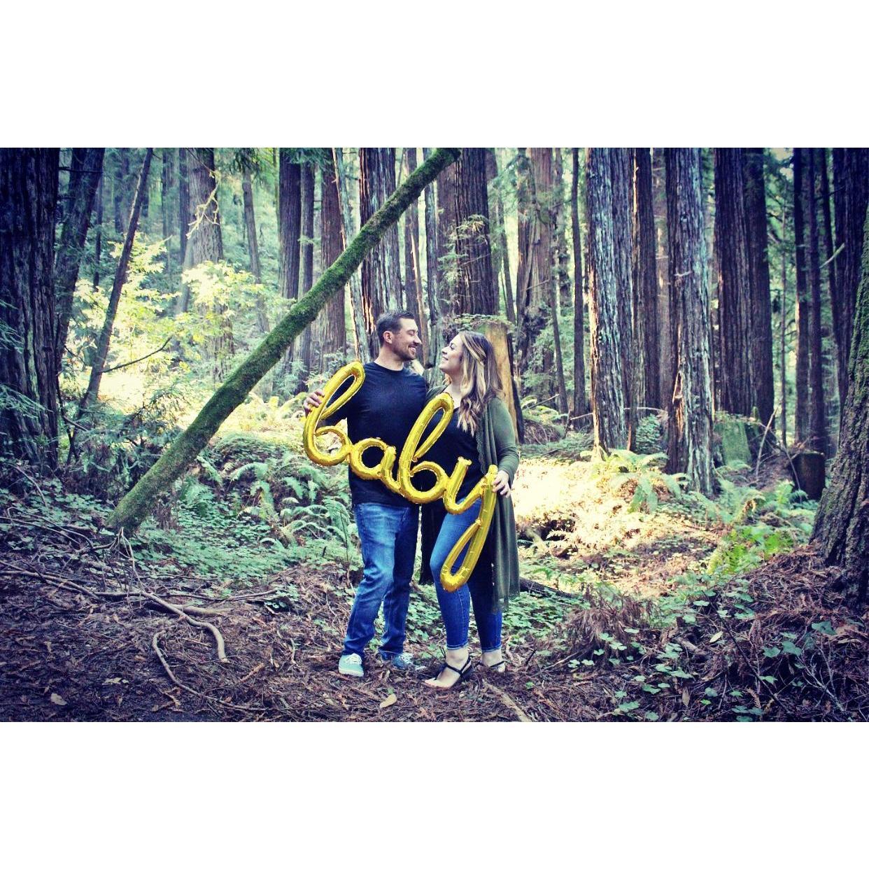 Baby Hoffman Coming Soon