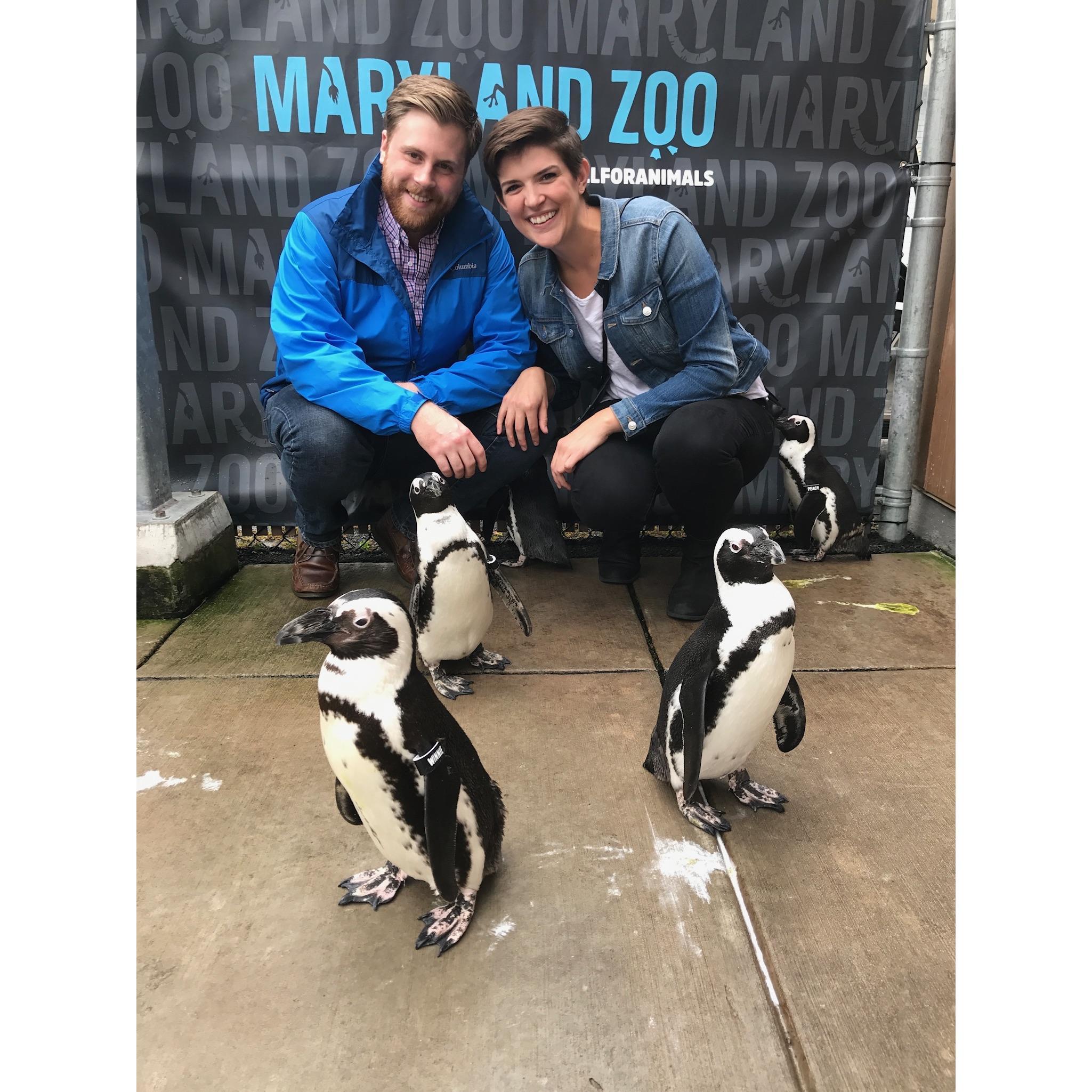 We met penguins for Conor's birthday.