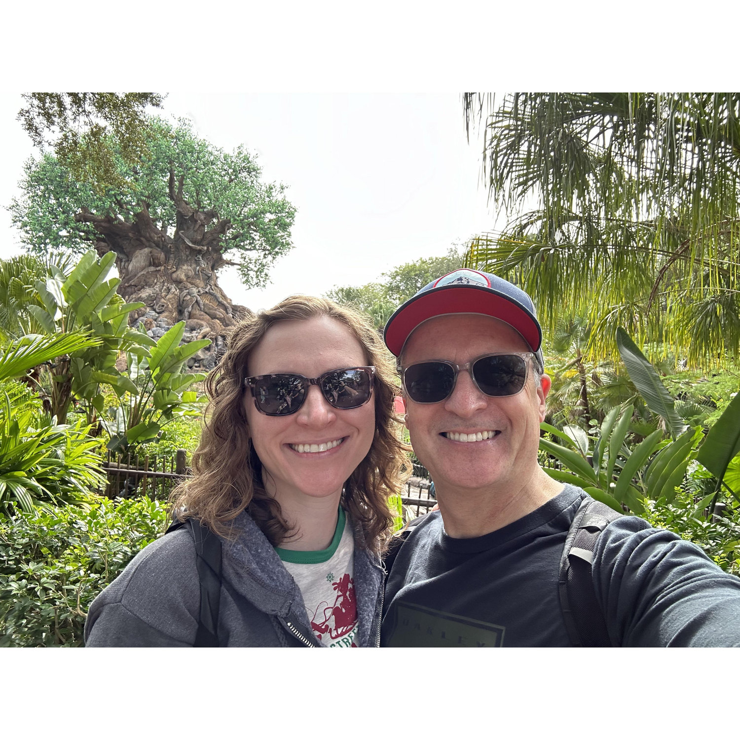 Animal Kingdom at Walt Disney World